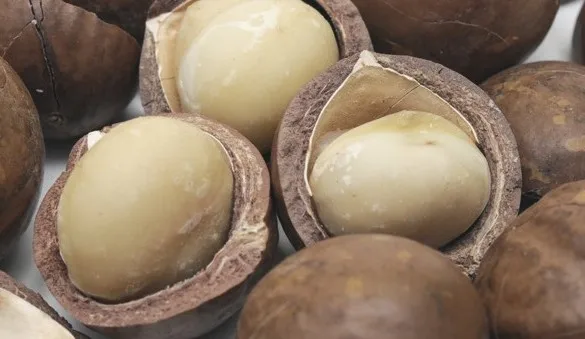 Гавайский орех-сырец высшего качества/орехи макадамии имеют богатую кремовую текстуру и мягкий сладкий (мисс Деми: WhatsApp + 84961 733 400)