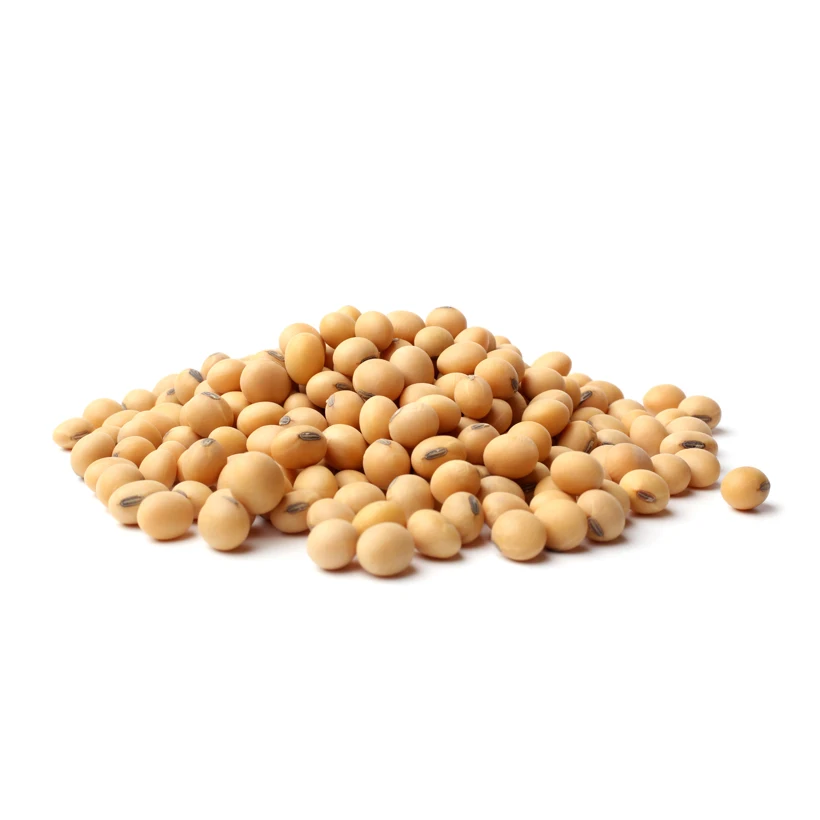 Yellow Soybean / Non GMO Soybeans