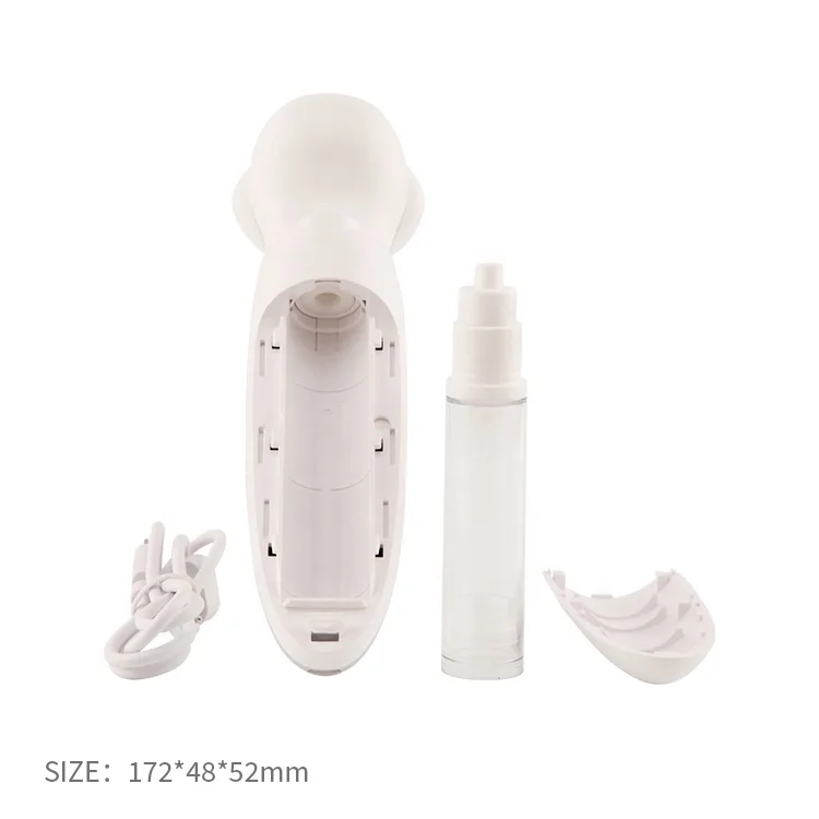 Home use women face Skin Rejuvenation  beauty tools  red blue light therapy rf facial  beauty equipment