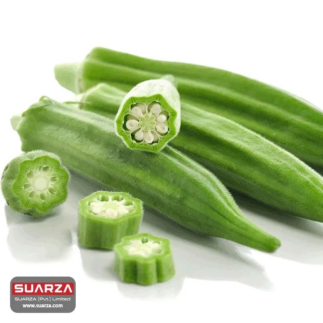 Хорошее качество оптовые поставки свежих овощей зеленый Окра для продажи по доступной цене от Пакистана/пакистанского поставщика Okra