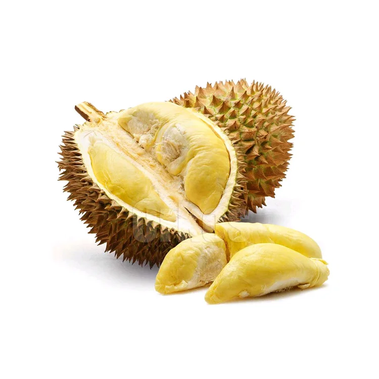 
Best Quality Hot Selling Bulk Fresh Durian Fruit from Trusted Supplier 