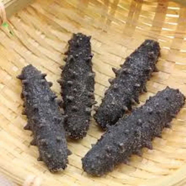 100% Natural Sun Dried Sea Cucumber Available.
