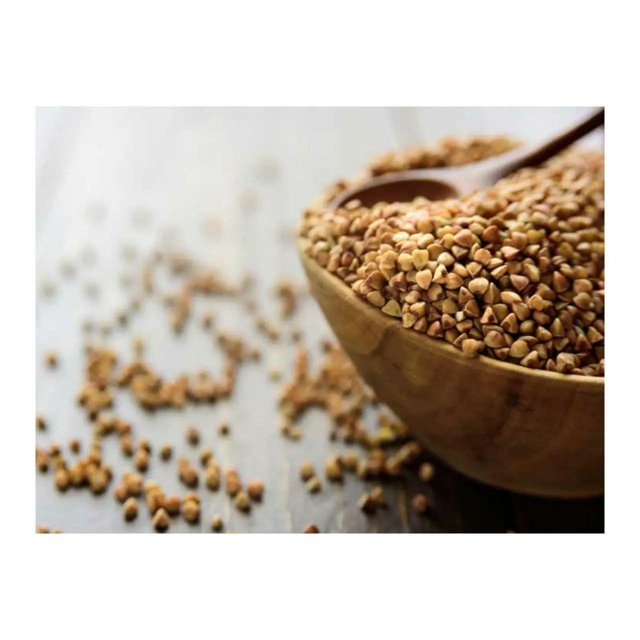 Свежие Семена Гречихи