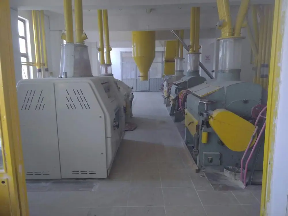 Ukraine organic natural grain wheat.