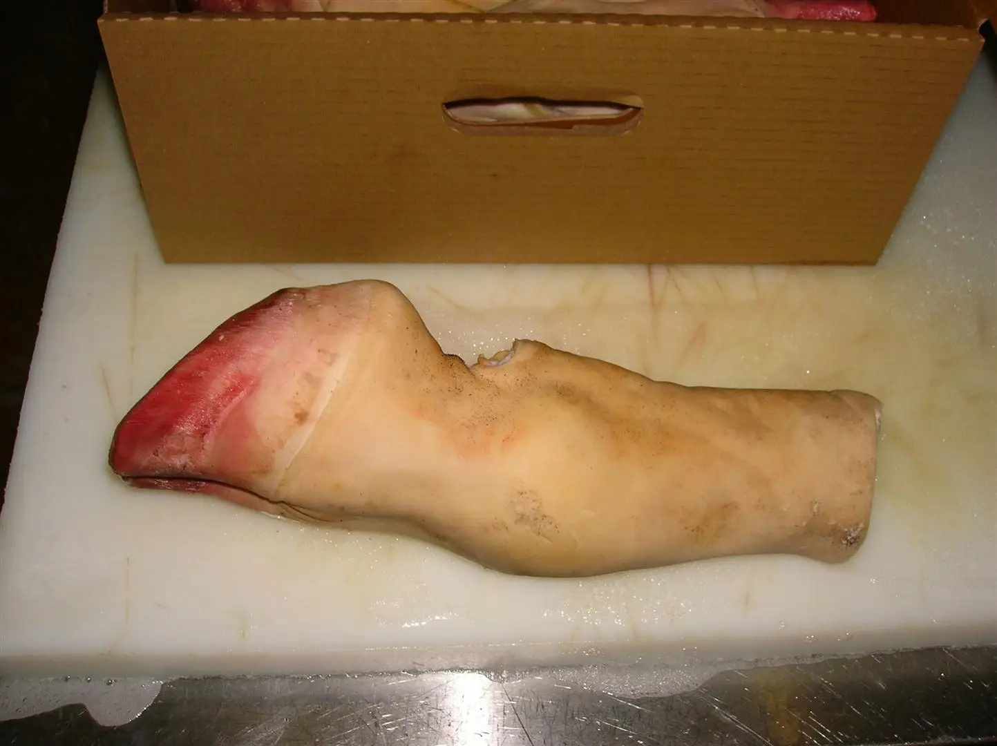 BEEF FEET FOR SALE