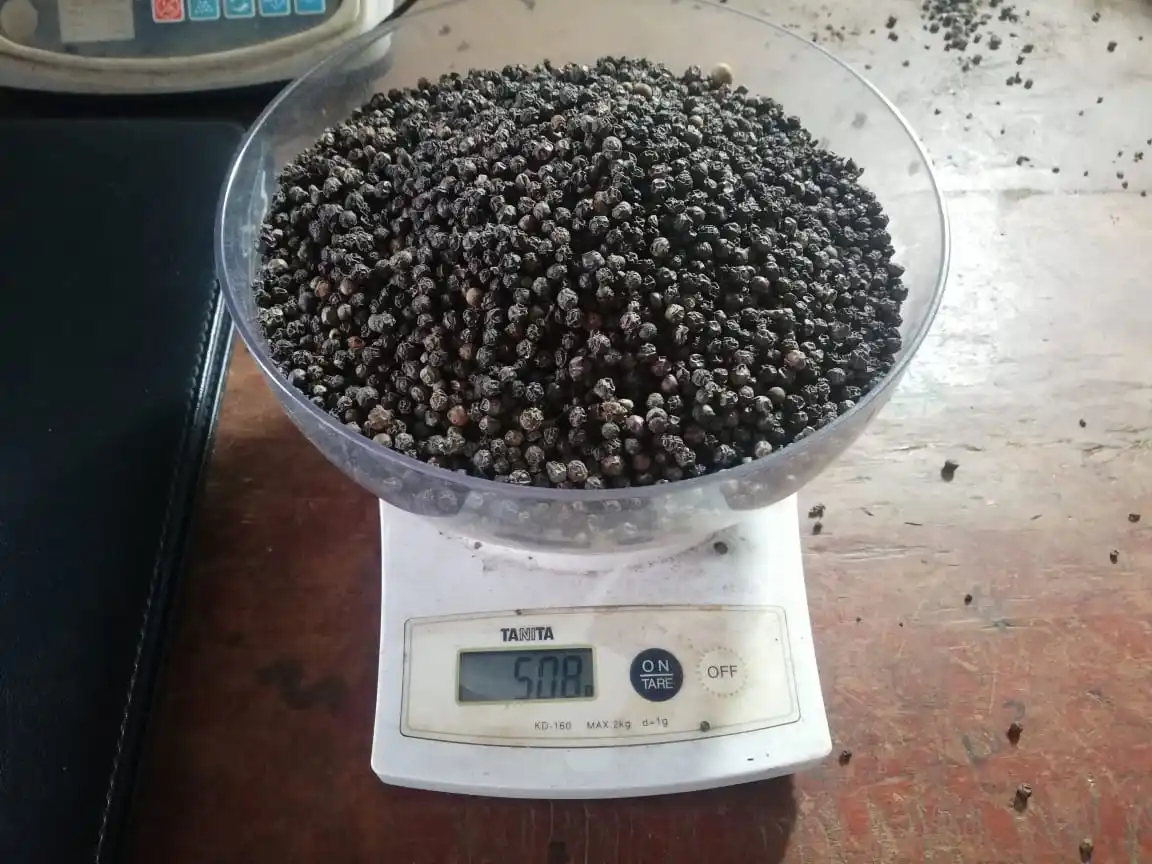 Часто задаваемые вопросы: черный перец 500GL 550GL 570GL Вьетнам Лучшее качество