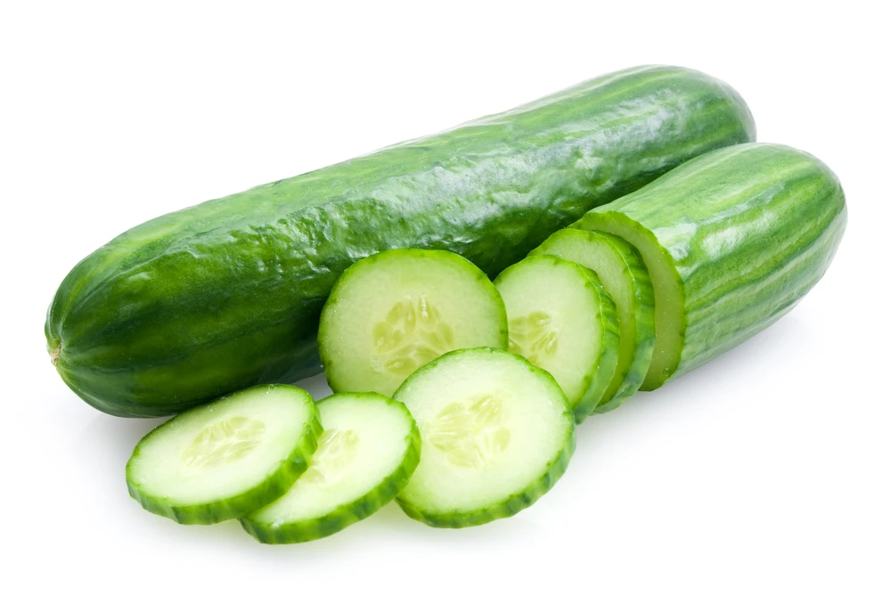 
Vegetables Green Fresh Cucumber for Sale Best Price Style Small Weight Origin 