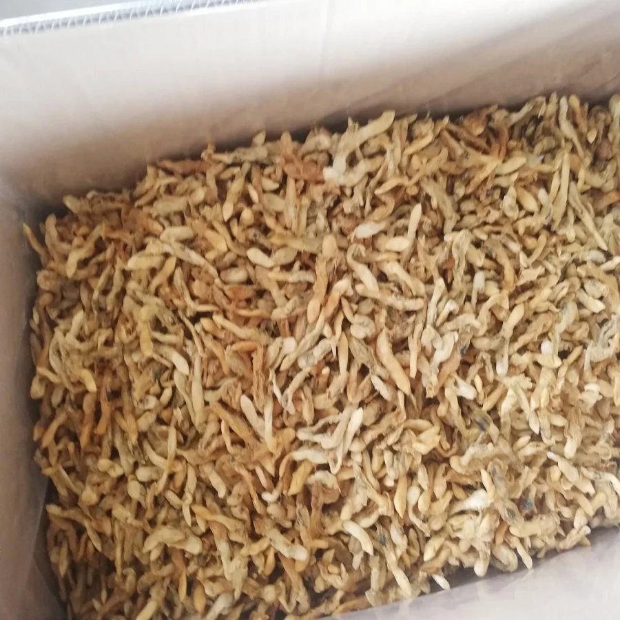 
Dried Razors Clam (Ensis Siliqua) 