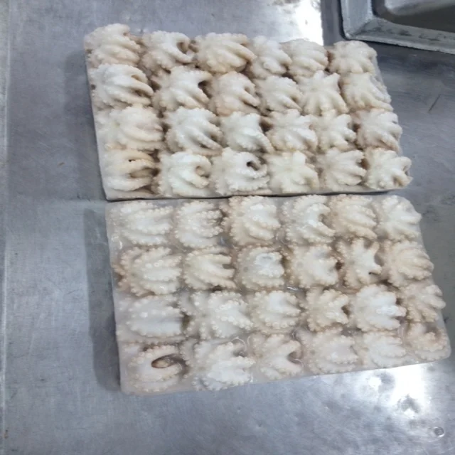 
Frozen Baby Octopus/Baby Octopus in Viet Nam- good quality 