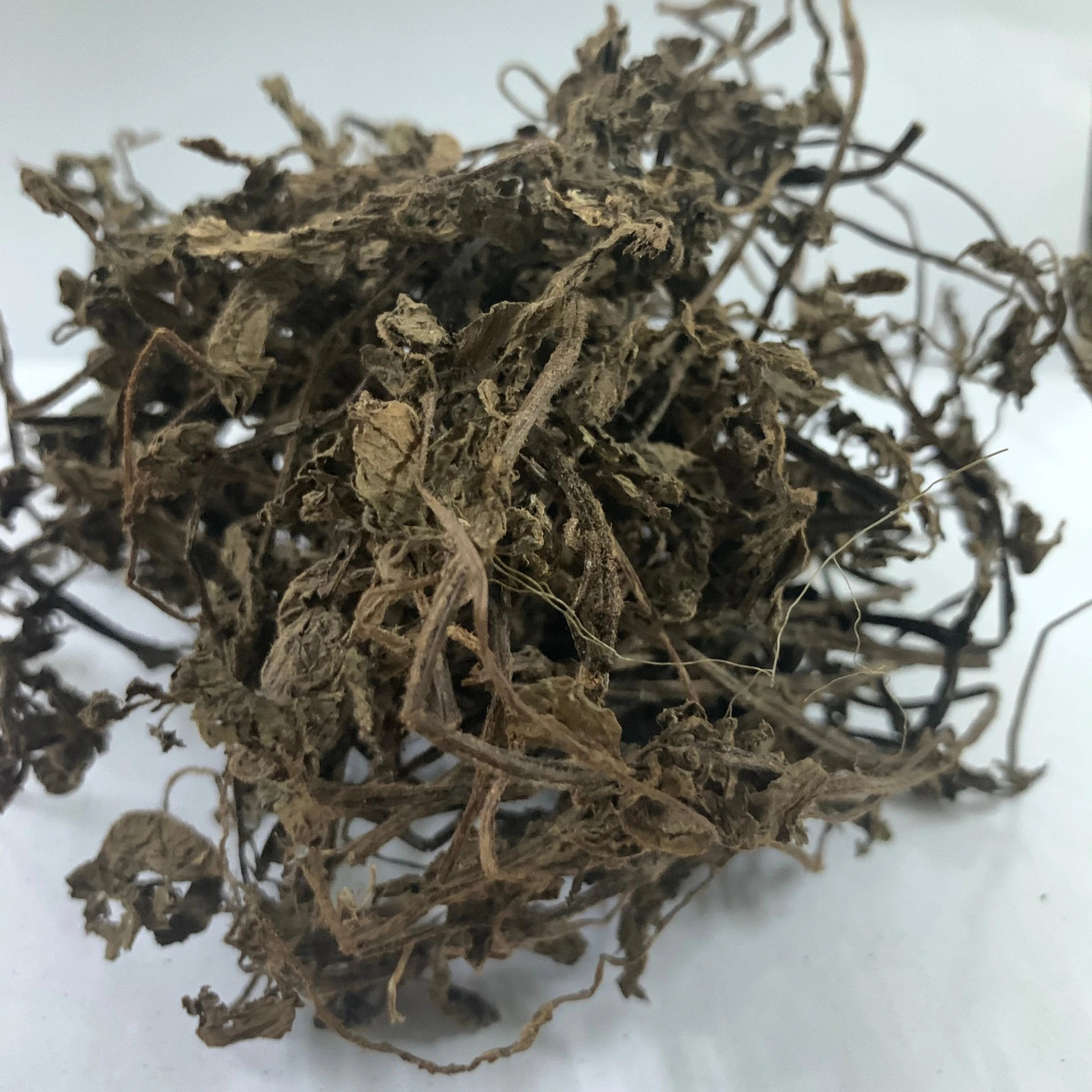 Mesona procumbens листья желе из сушеной травы-Ms Кэти