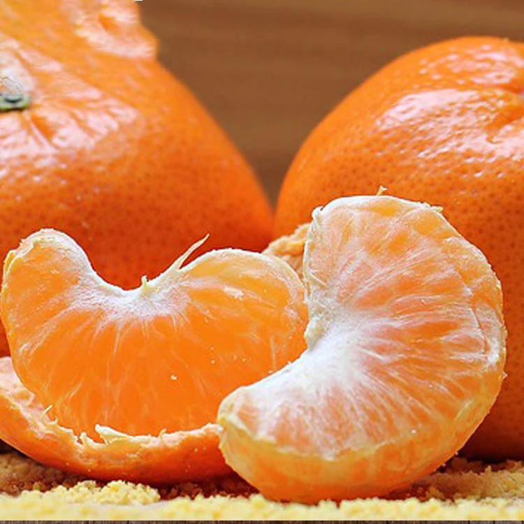 Montale Fresh Orange Summer Valencia oranges navel oranges