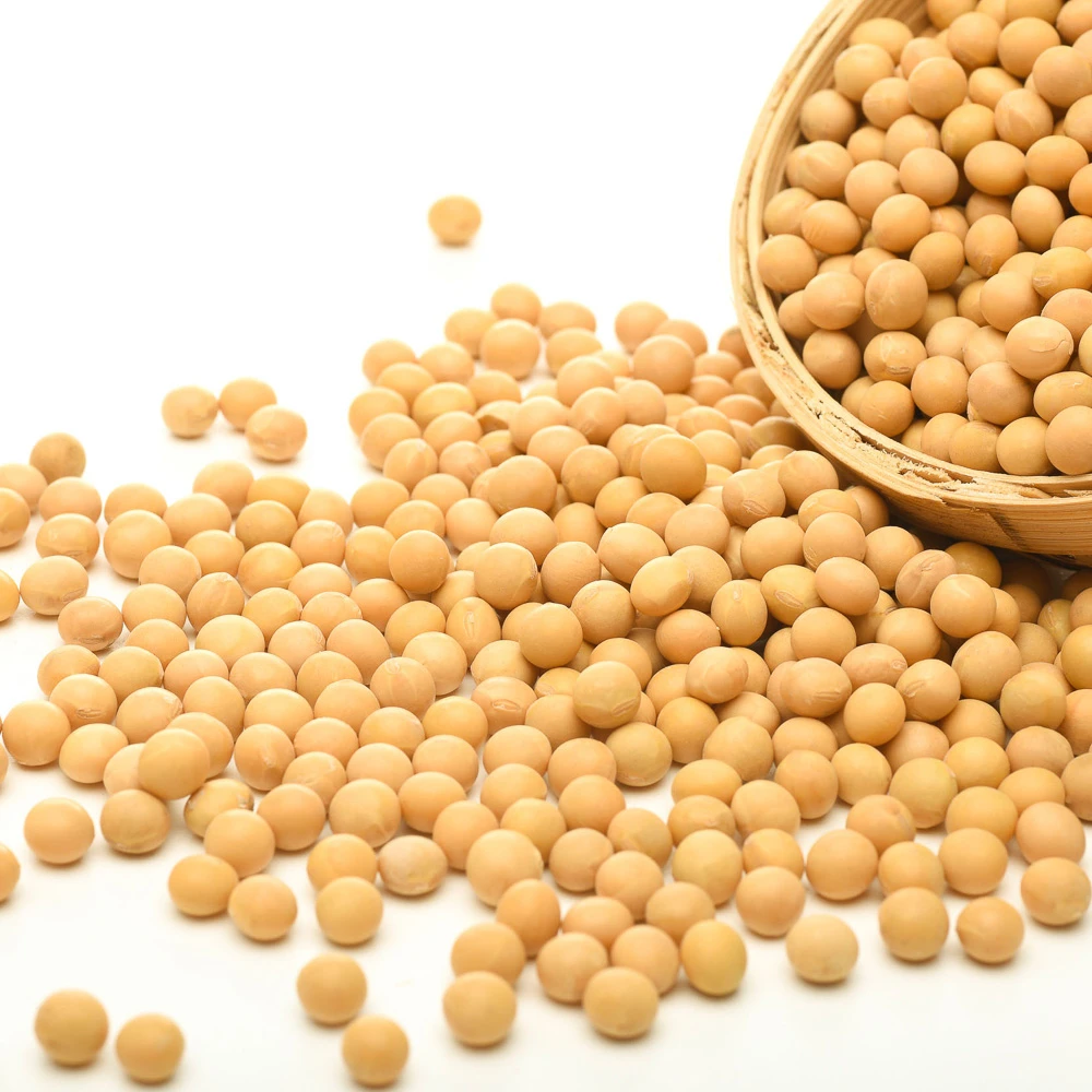 Gmo Dried Soy Beans SoyaBeans Organic SoyBeans Premium Non GMO Soybeans and Soya Beans / Soy Bean for sale