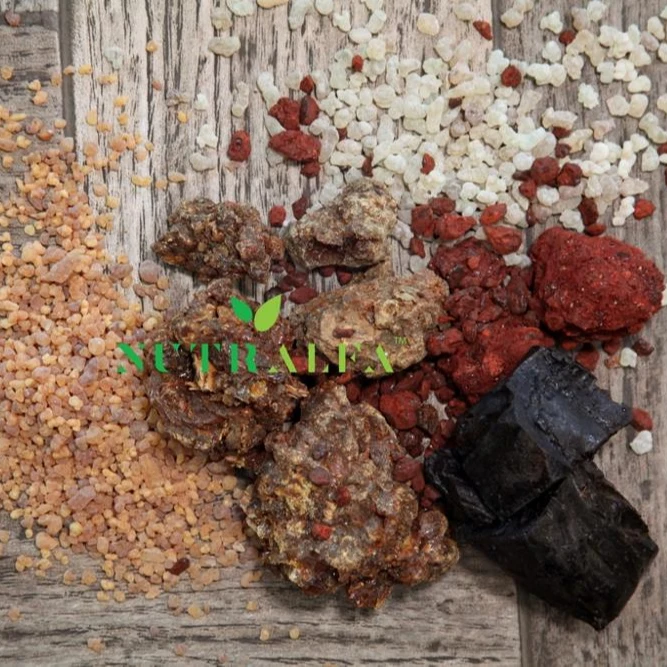 Plant Based Natural Ingredients Gum Resins for Flavor and Fragrance Top Quality