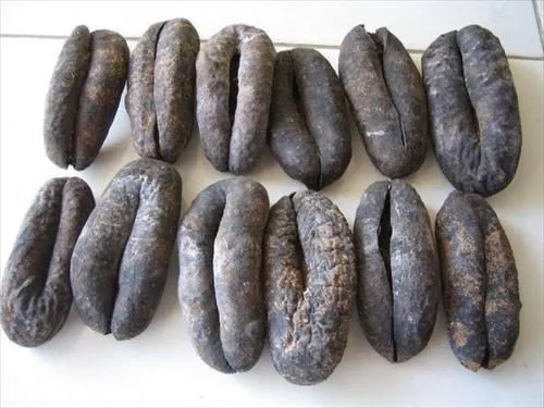Dried Sea Cucumber / Jolie +84 797228747