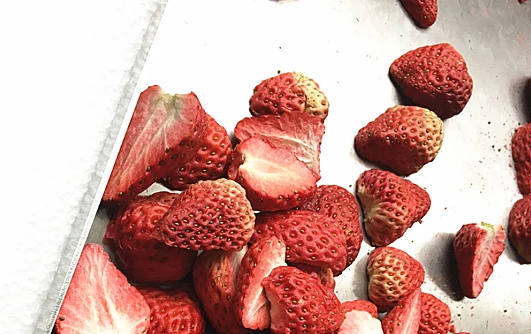 Маленькая сушилка для замораживания пищи вакуумный