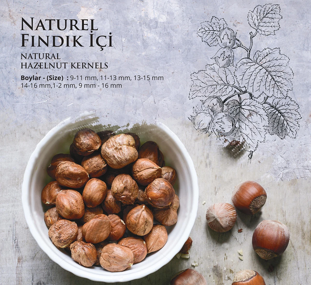 9-11 MM Organic & Natural Raw Unshelled Hazelnuts All Sizes are Available.