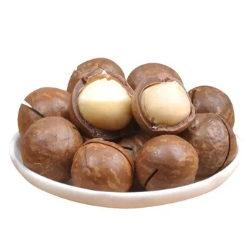 
Top grade Macadamia Nuts With Shell High Quality Macadamia Nuts 