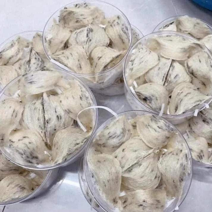 Best Price Vietnam Raw Swallow Bird Nest Manufacture Type A OEM Service Reliable Slight Fishy Taste Rich Nutritious