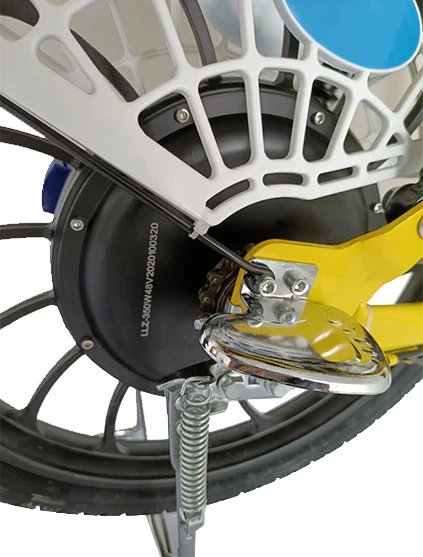 Быстрая Доставка еды на большие расстояния до 100 км, Электрический Грузовой электровелосипед с двойной батареей 24 Ач для всей семьи