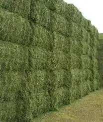 Best Factory price premium Quality Animal Feed Alfalfa Hay for sale.