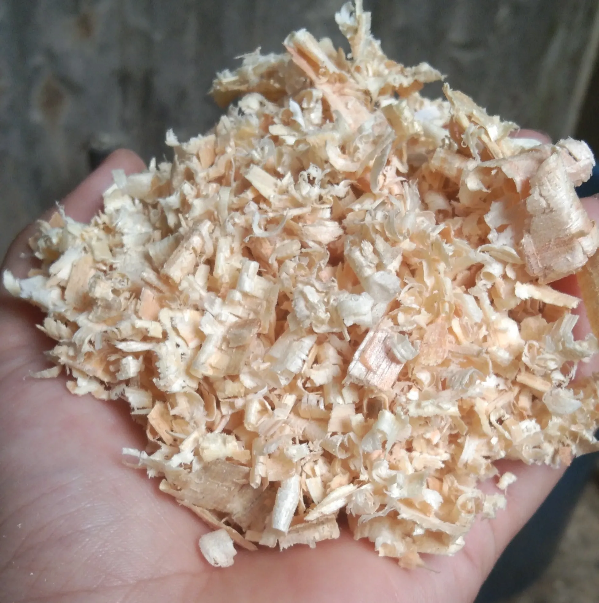 PINE WOOD SAWDUST/ WOOD SHAVING/ WOOD PELLET