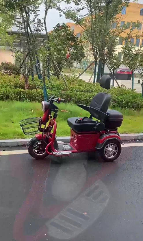 Top Quality 3 Wheel Mobility Scooter handicapped scooter for disabled/handicapped Elderly-BZ-TH02