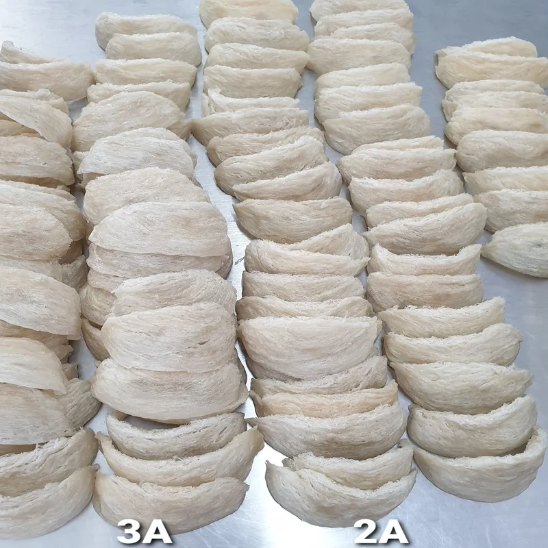 
edible birds nest box Natural Premium Quality from Thailand 