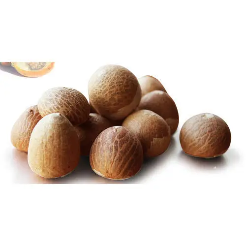 100% DRIED OF BETEL NUT ALL OF KINDS