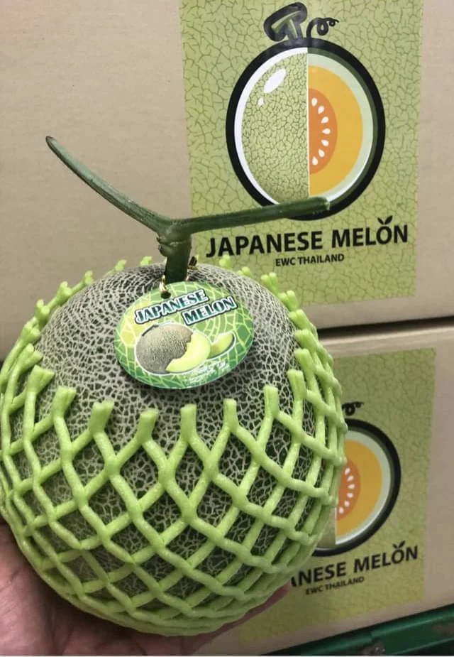 
EWC Premium Farrmer From Thailand Tropical Fruit Fresh Melon Green Meat Sweet Taste 