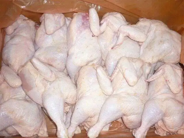 Cheap Rate Wholesale Best Whole Halal Frozen Chicken For Sale In bulk