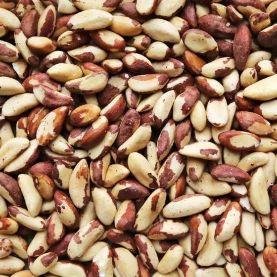 Cheap Macadamia Nuts and Brazil Nuts prices