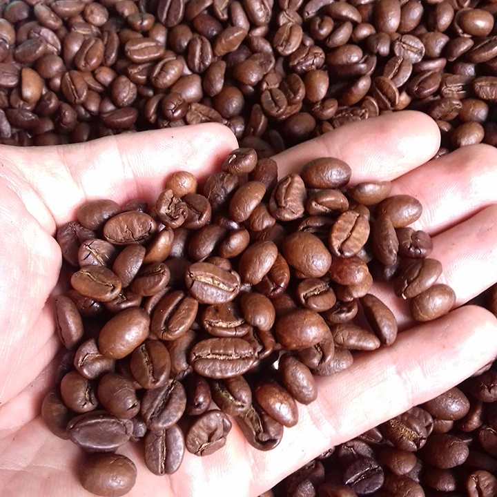 Сделано в Вьетнаме зеленые кофейные зерна Arabica