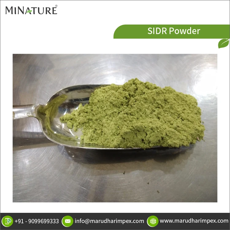 Best Quality Hot Selling 100% Pure and Natural Herbal SIDR Powder for Wholesale Buyers at Factory Price
