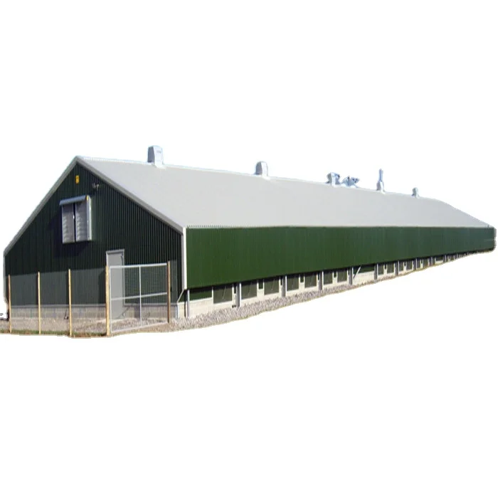 Steel Material Prefab Poultry Farm Shed / Chicken House with Frame