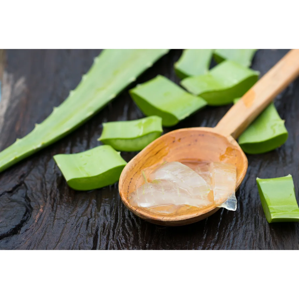 Aloe Vera Leaves Organic Certified | From Adult Plant Grown Open-Air in Sicily | Great Quality