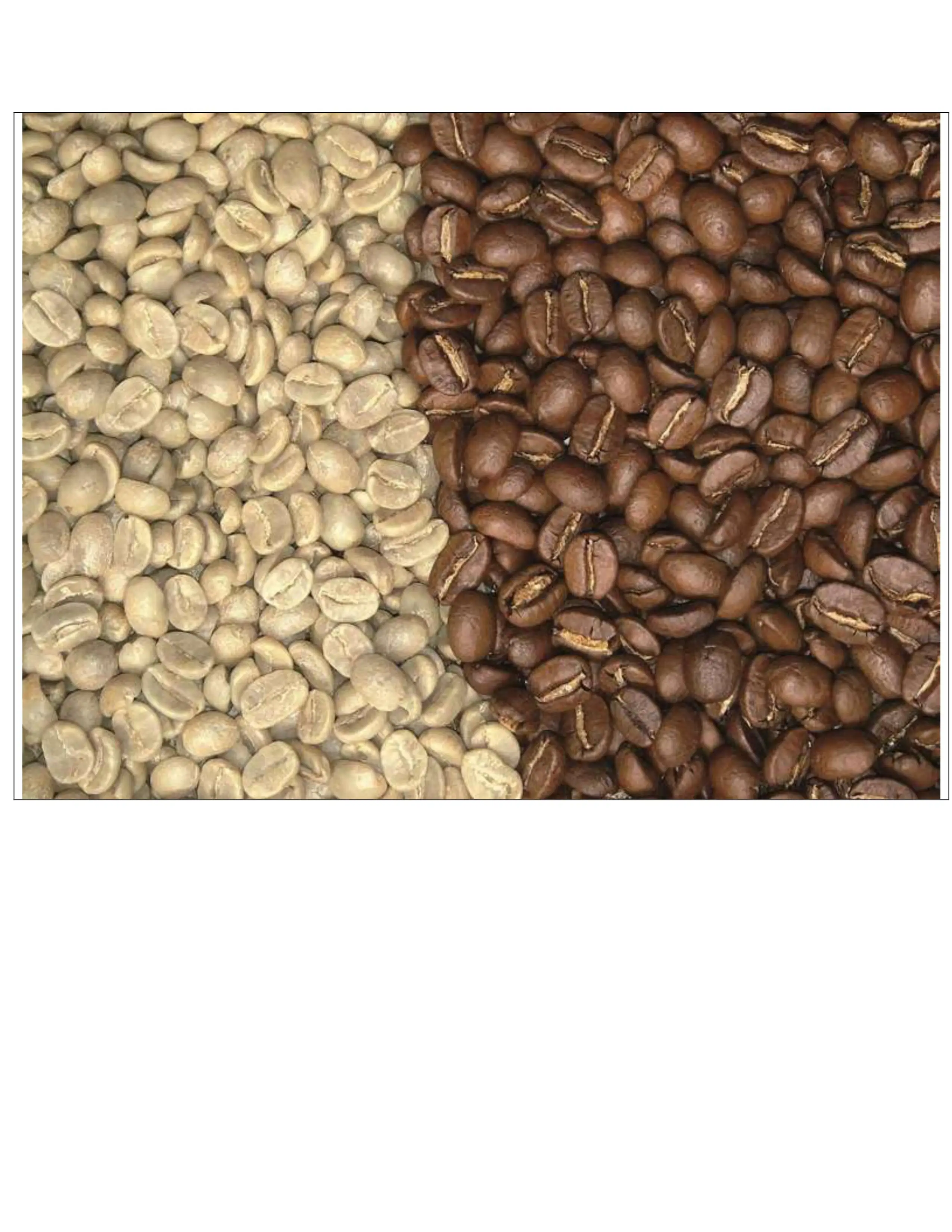 
ROASTED ARABICA COFFEE BEANS MAKING A CUP OF COFFEE AT HOME BRANDING ANTHAICAFE FROM VIET NAM COFFEE 