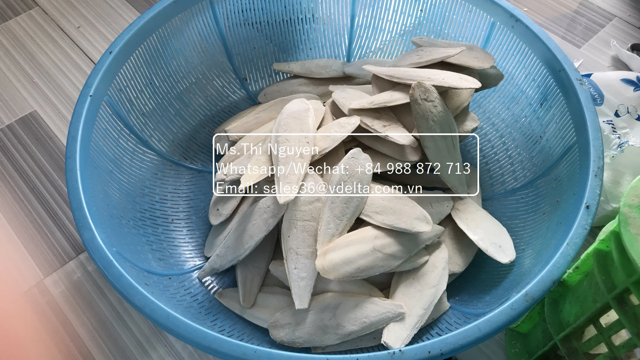 Сушеные кости для морской Слепки птиц по низкой цене/Ms.Thi Нгуен + 84 988 872 713