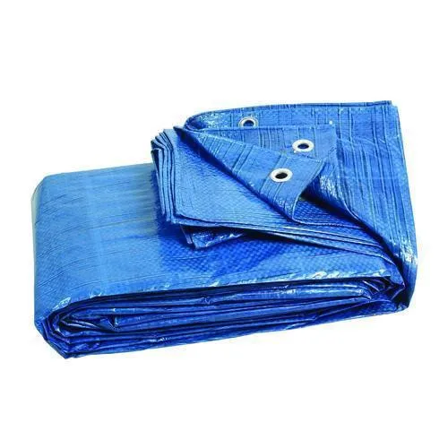 Blue Tarp Poly Tarpaulin 6x8 Tent Canopy Boat Car Camping Roof