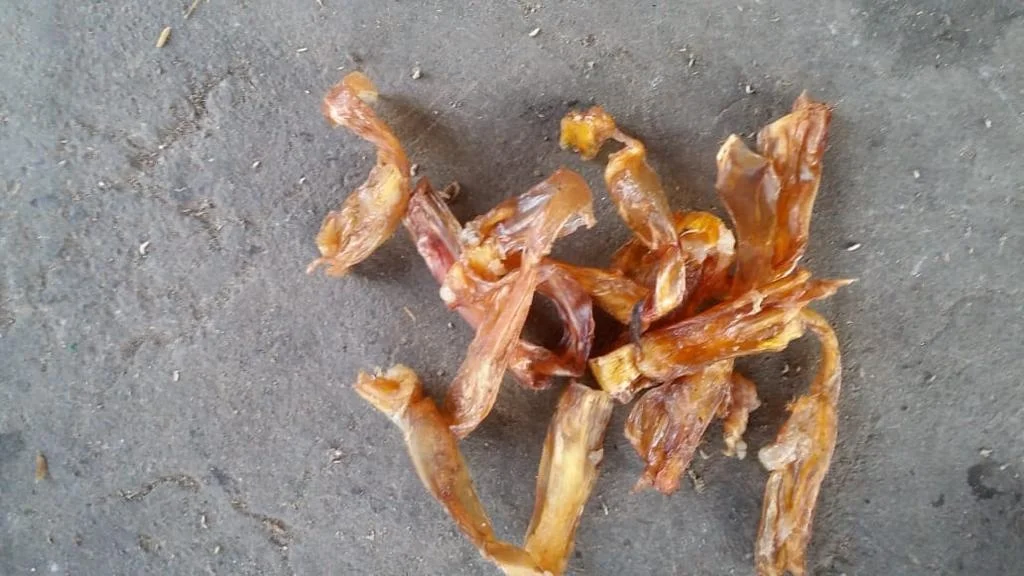 High Nutrition High Protein Dried  Tendon