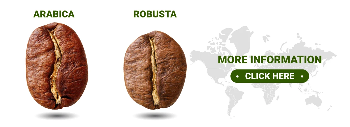 Высококачественные кофейные зерна арабики готов к отправке надежная фабрика