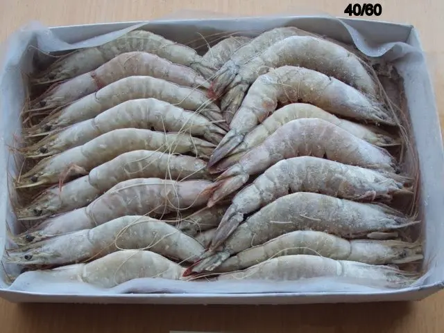 Дешевая заводская цена индийская поставка белых креветок HOSO