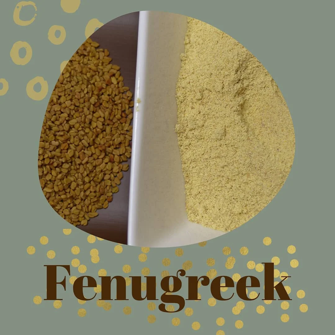 100% Organic Natural Extract Funegreek Seed / Fenugreek Powder / Funegreek  oil