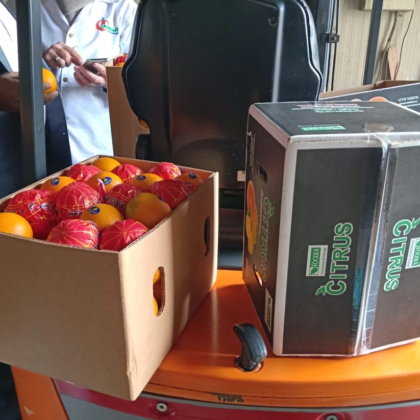 Fresh orange from Egypt