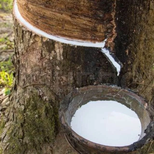 Ребристые дымчатые листы EFR