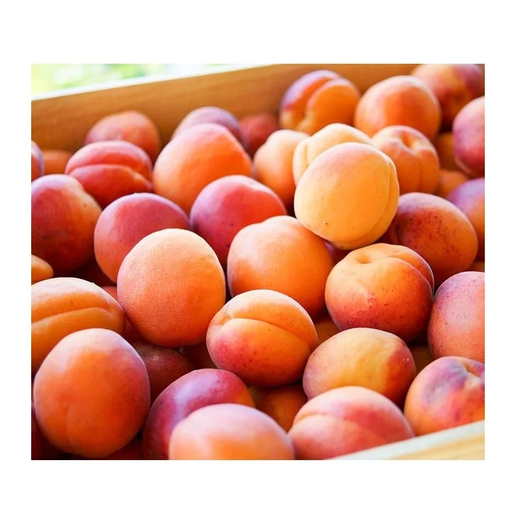 
Best Factory Price Of Fresh Apricots Available In Bulk Stock With Custom Packing 