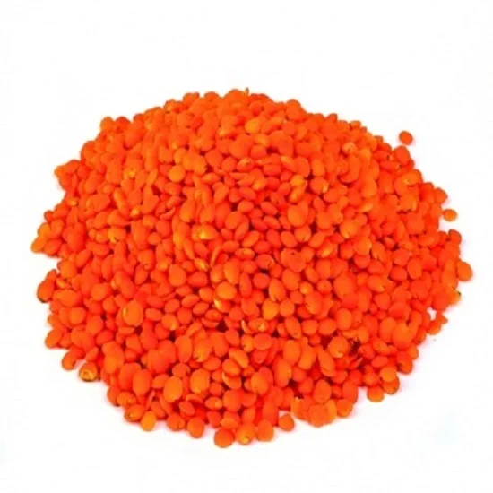Premium Quality Canadian Red Lentils