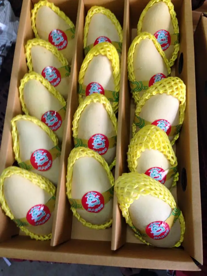 mango nam dokmai fresh Grade AA quality from thailand