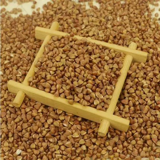 High Quality Hot Sale Roasted Sweet Raw Buckwheat Kernels