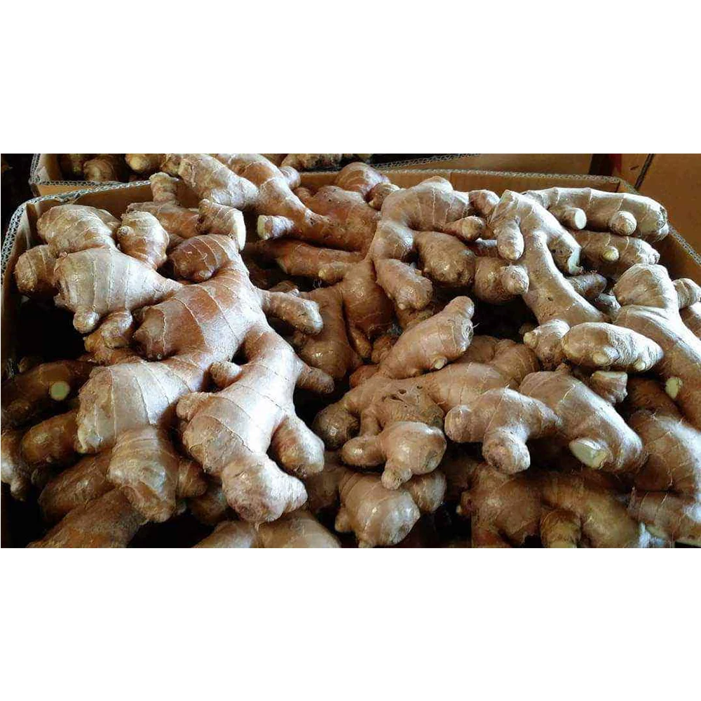 
Have VIETGAP Certification The Best Selling Spicy Ginger Have Carton Packaging Shipping From Vietnam 