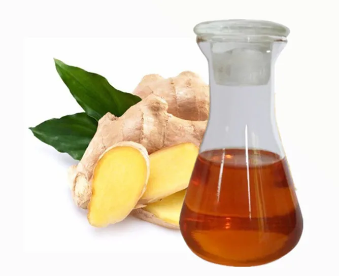 High Quality Organic Essential Oil Ginger Oil